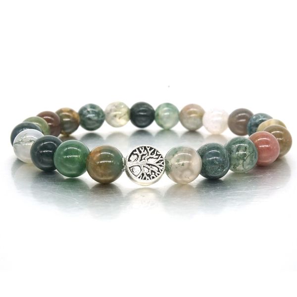 

Frisado, Vertentes cactus77