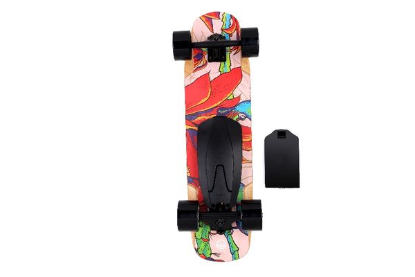 

electric scooter canadian maple electric skateboard 500w