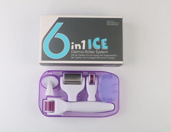6 in 1 Ice Derma Roller con aghi in lega di titanio Microneedle Cura della pelle Massaggio viso Custodia da viaggio Anti acne