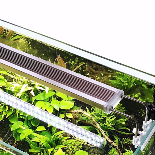 lighting for fish tanks