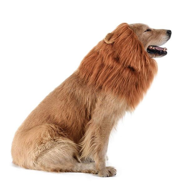 Hair Ornaments Halloween Dog Lion Mane Realistic Funny