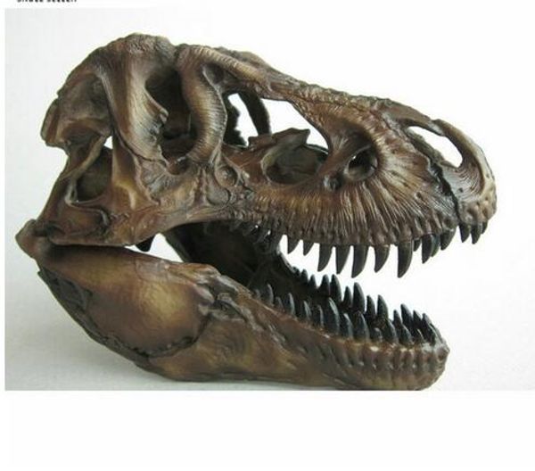 P-Flame 1/12 Tyrannosaurus Rex Teschio di dinosauro Artigianato Resina Fossile Simulazione Modello di teschio per oggetti da collezione