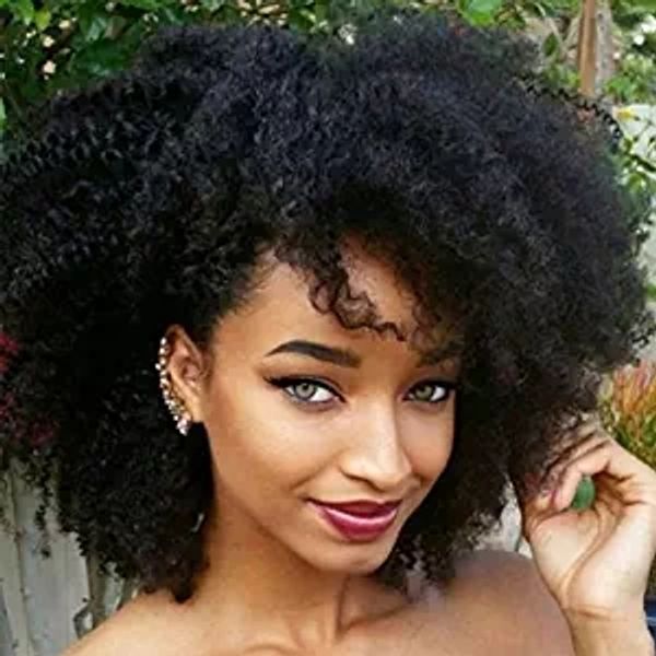 

360 lace frontal wig 250% density pre-plucked hairline 360 lace front human hair wig curly wig for black women (12inch with 250% densit, Black;brown