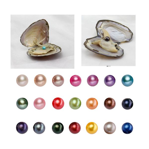 

mix 25 цвета пресной воды круглый pearl с oyster shell 6-7мм жемчуг в устричном одном, жемчуг устрицы diy изготовление ювелирных изделий, White
