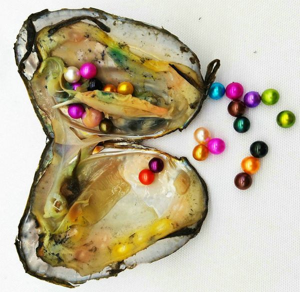 

2018 Akoya High quality cheap love freshwater shell pearl oyster 6-7mm red gray light blue 27 colors pearl oyster with vacuum packing