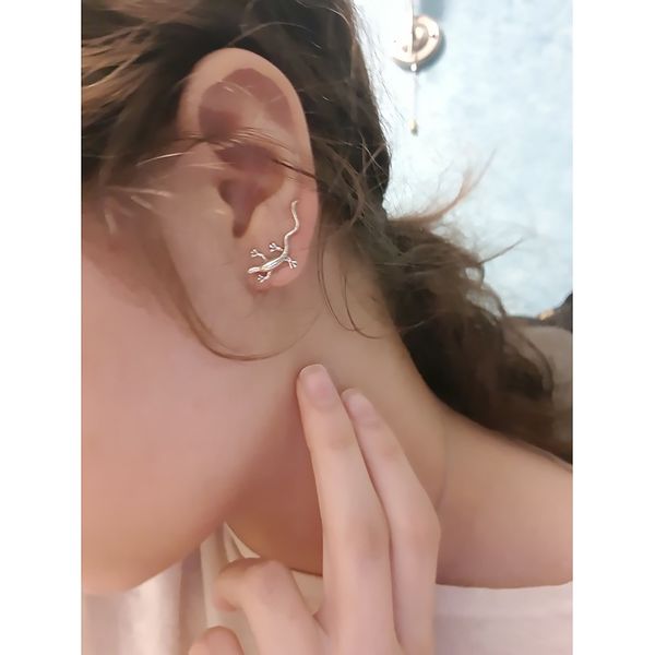 

tardoo new 925 sterling silver hook earrings for women gecko shape special sculpt brillant hook earrings brand fine jewelry, Golden;silver