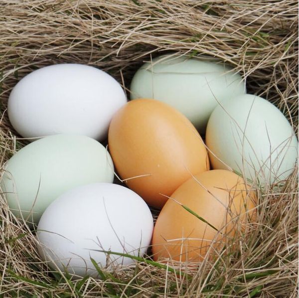 Henne Geflügel Simulation Holz gefälschte Eier Huhn Ente Gänse Schlüpfen Brutzucht die Küche Spielzeug Haus Malerei Spielzeug Ostergeschenk