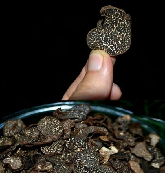 

100g yunnan wild black truffle dried truffle bag package