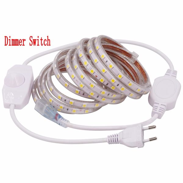 Dimmable Waterproof 220v Led Strip 5050 Smd 60leds M Light Garden Outdoor Home String With Eu Plug Dimmer Switch Lights Bedroom
