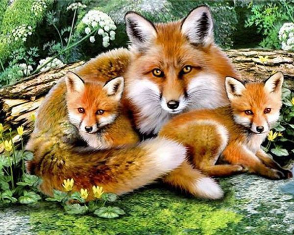 

a1275 fox 50*40cm 5d diy diamond embroidery painting home decor diamond cross stitch 100% resin tool dril painting mosaic needlework