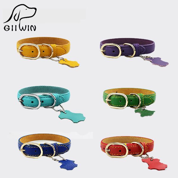 

giiwin]pet products pet dog collars leather leash training for small large dogs collar leash cat collar harness dog tag py0217