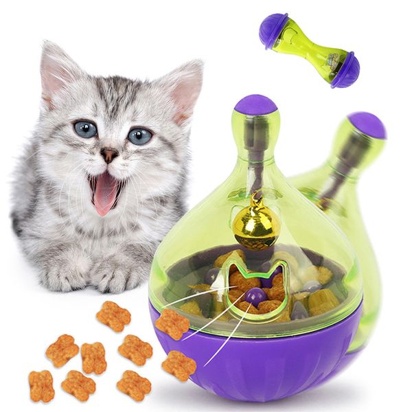 chat interactif