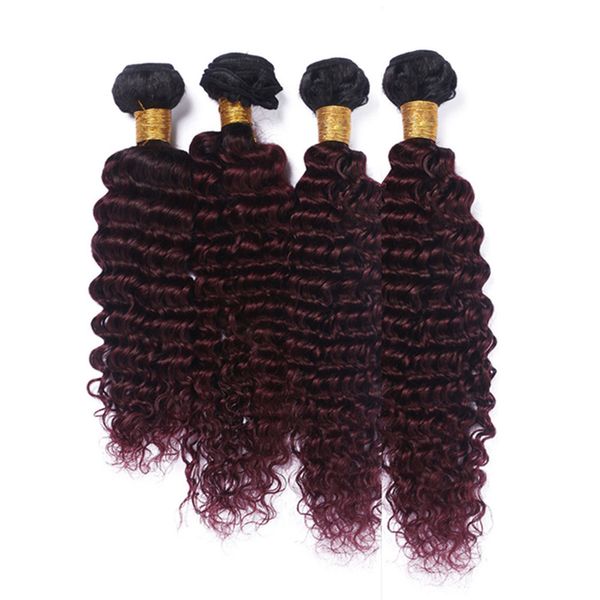 2019 Wine Red Ombre Malaysian Human Hair Bundles Deep Wave Wavy