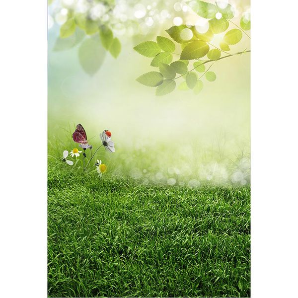 Bokeh Sonnenschein Baum Blätter Frühling Hintergrund Fotografie Neugeborene Baby Requisiten Schmetterling Blumen Ostern Hintergrund grün Grasboden