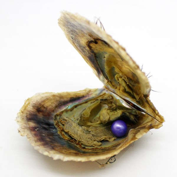 

wholesale vacuum packaging 6-7mm12# color pearl one in akoya salt oyster