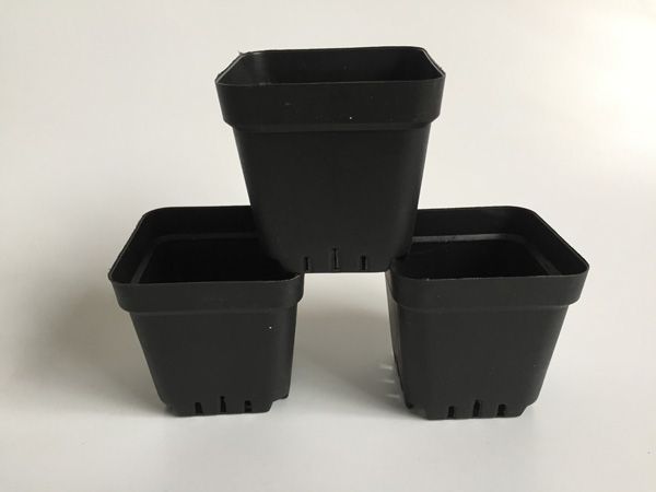 

d7xh6.8cm мини питомник горшки пластиковые цветочные горшки черный квадрат суккуленты горшки цветочные горшки малые sf-135