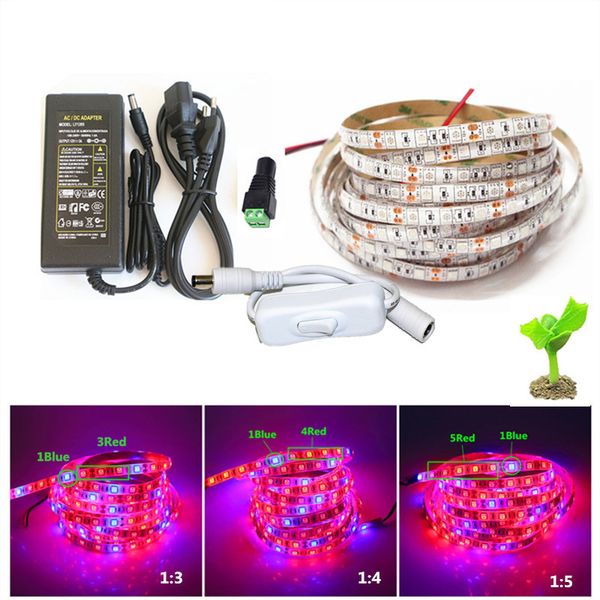

5м 5050 сид растет света dc 12 в водонепроницаемый светодиодные полосы роста растений растут свет комплект с адаптером и коммутатором для па