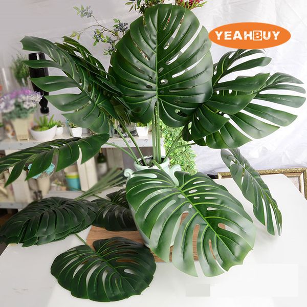 

2-веное икђвенное моделиѬование болой monstera еѬепаа обѬано ли адов