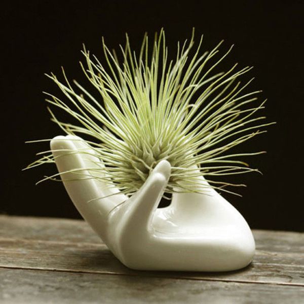 

small white porcelain ceramic air plant tillandsia holder flower office desk decor chic home wedding decoration