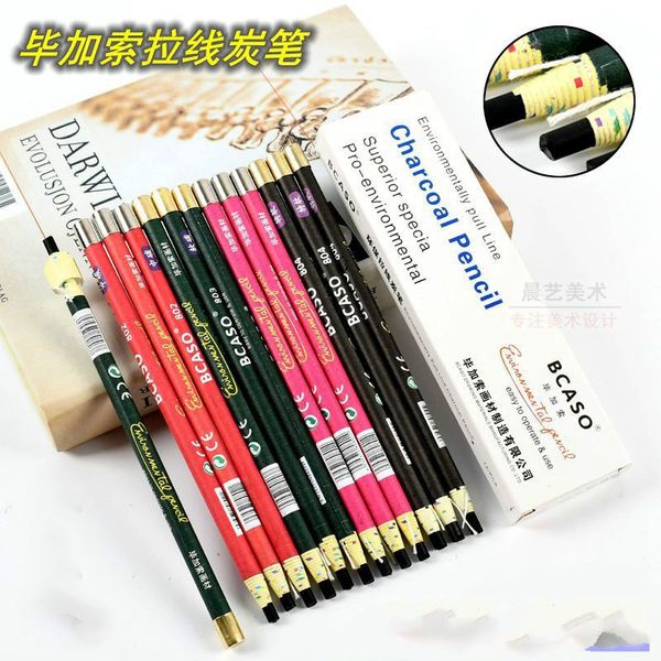 

12 pcs/set profession sketching drawing artist pencil pull line paper charcoal pencils painting stationery gifts super soft pens