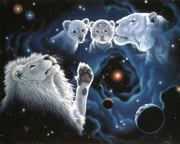 

a1347 лев 25*20 5d diy алмаз вышивка комплекты home decor алмаз вышивка крестом 100% смола инструмент dril живопись вышивки крестом мозаика