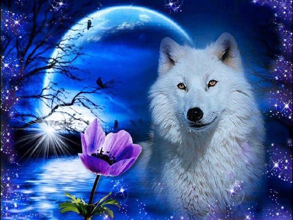 

a1952 wolf 40*30 5d diy diamond embroidery painting home decor diamond crossing stitch 100% resin tool dril painting mosaic needlework