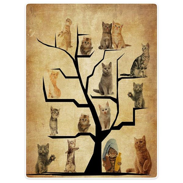 

warm soft cozy fleece flannel plush throw blanket funny kitten collection tree sofa warm bed blanket kids blankets