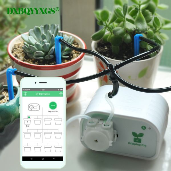 

mobile phone control intelligent garden automatic watering device succulents plant drip irrigation tool water pump timer system