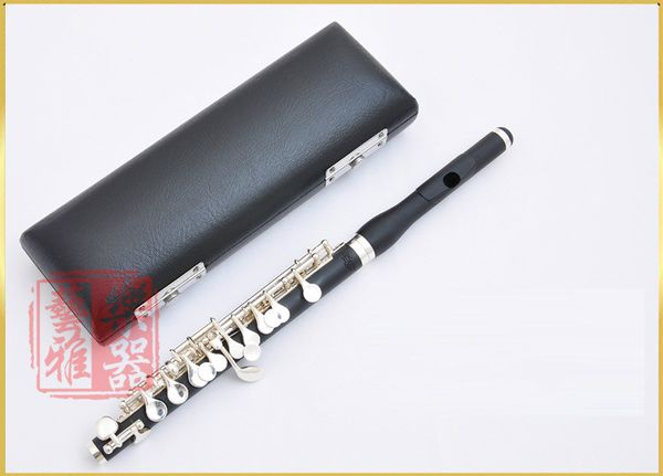 HEIZWEY Strumenti musicali occidentali di alta qualità per prestazioni Piccolo pulsante in rame-nichel Superficie placcata argento con custodia Spedizione gratuita