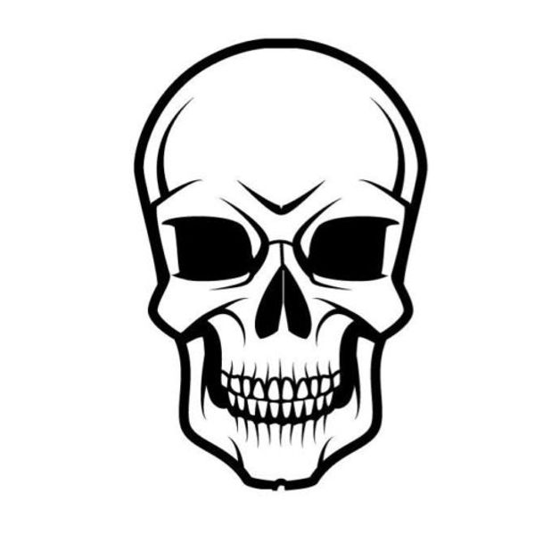 

cranium with scary face car sticker vinyl car wrap car decal pattern decoration