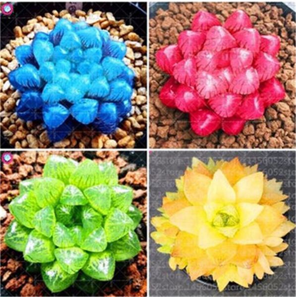 

Outros Acessórios Jardim ymhzpy