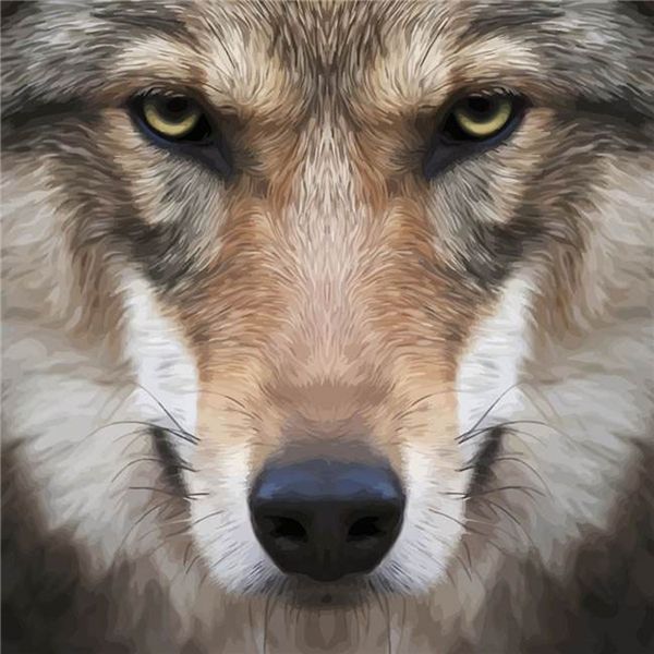 

mosaic home decoration gift animal wolf head diy diamond painting cross stitch kit rhinestone full round diamond embroidery yx2604