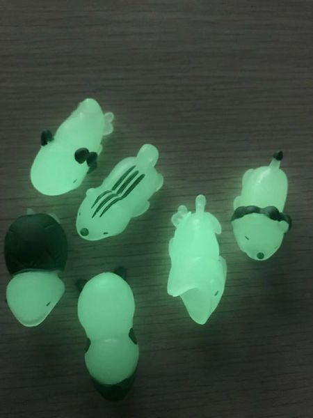 

Correias e penduricalhos para celular armorcase