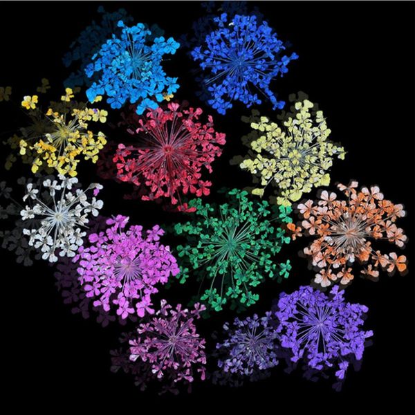 

12pcs/ colors/set mixed dried flowers nail beauty art diy nail art tips stickers women manicure decorate dry flowers nair tool, Silver;gold