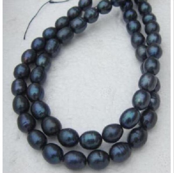 

2 row 12-14mm south sea black natural pearl necklace 17-18" shell buckle, Silver