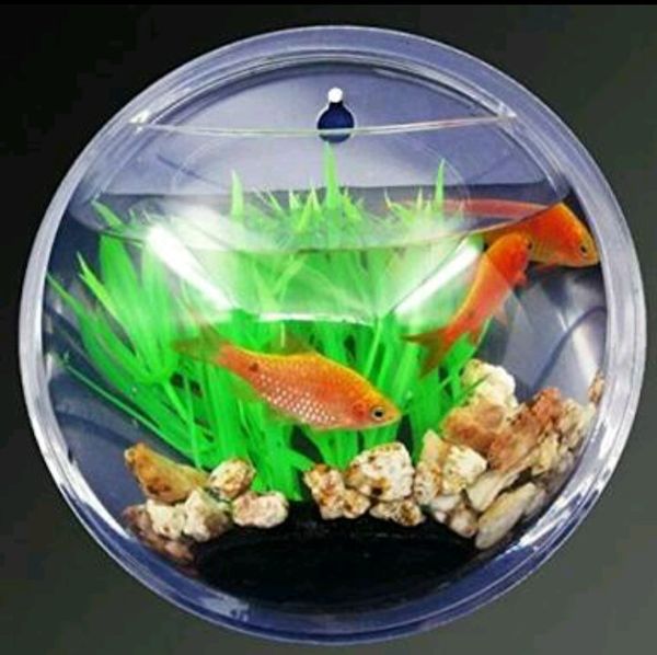 2018 Creative Wall Hanging Acrylic Fish Tank Home Decoration Fish Tank Aquarium Fish Tank Home Interior Design Home Interior Design Photos From