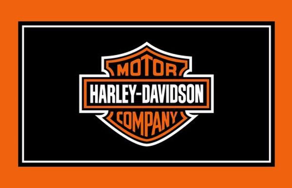 

Motor flag 90 150cm 100 polye ter banner digital printing
