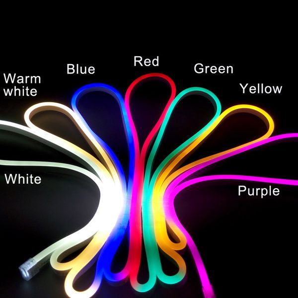 5m Neon Flex Strip Led 12 V Warm White Cool White Red Yellow Blue Green Lights Color For Exterior Interior Lighting Decor Dc 12 Volts Ce Fcc Rgb Light