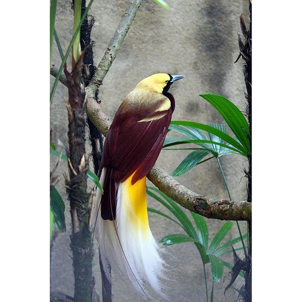 Acheter Longévité Amour Paradis Ciel Oiseau 5d Plein Carré Diamant Peinture Point De Croix Mosaïque Diamant Broderie Peinture Animale Strass Home