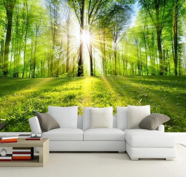 il sole splende attraverso lo sfondo della foresta 3d Wall Photo Murale foresta Wall paper per Background Camera 3D Wall Mur