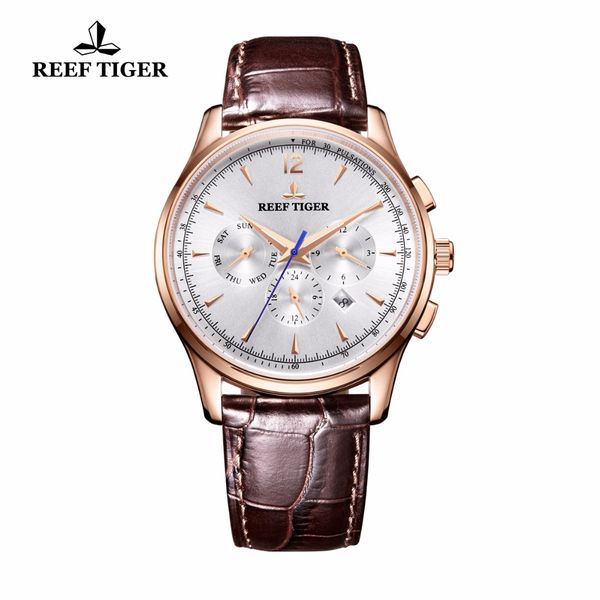 

2018 new reef tiger watch men sports fashion waterproof automatic mechanical watches clock relogio masculino, Slivery;brown