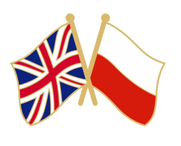 UK Poland Amizade Pin 100 pcs muito Frete grátis