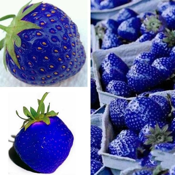 

Outros Acessórios Jardim tina329