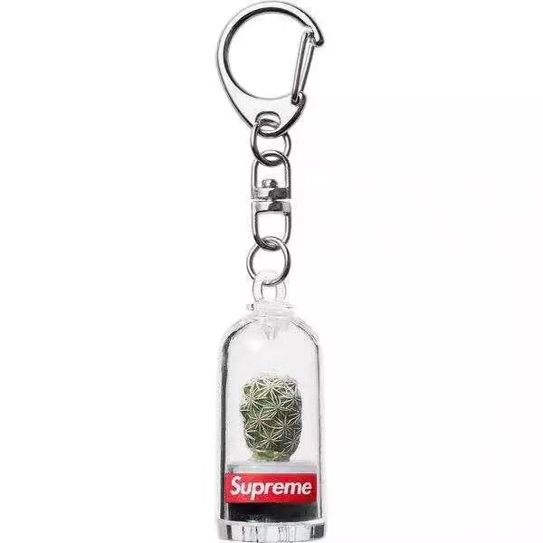 

sup 18ss cactus keychain cactus potted keychains fshion wen women bag key chain holder plants key ring bag pendant k87