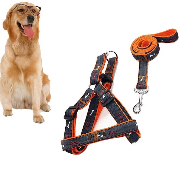 

вокое каево дееве ен зоооваѬ обака кока поводок Ѭемни комплек ко