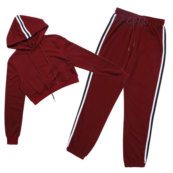 

regular tracksuits 2 piece set pink crop and pants fashion autumn casual lady tumblr long sleeve hoodies pants suit, Gray