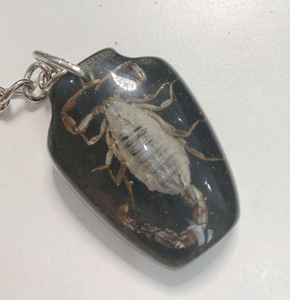 

yqtdmy 12 pcs magic black vase design scorpion keychain, Slivery;golden