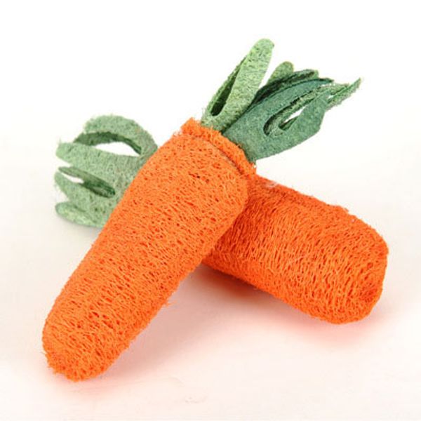 

durable carrot pet dog cat toys luffa toys carrot dog chews puppy dog chew teething toys