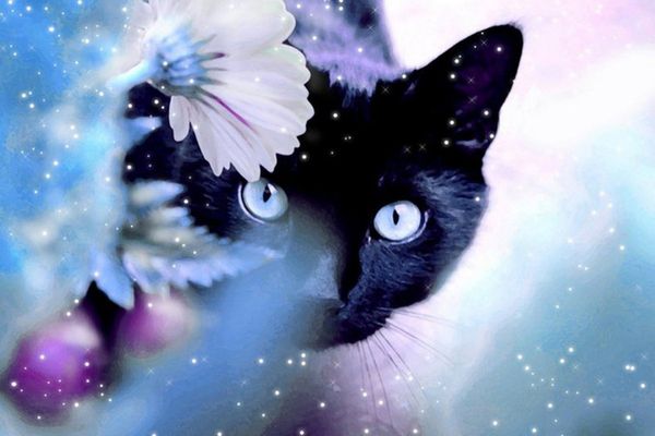 

a1249 cat 30 * 20 5d diy алмаз живопись вышивка home decor алмаз вышивка крестом 100% смолы инструмент dril живопись мозаика рукоделие