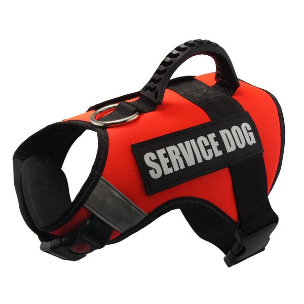 

Coleiras & Trelas para Cães ysfbest132400